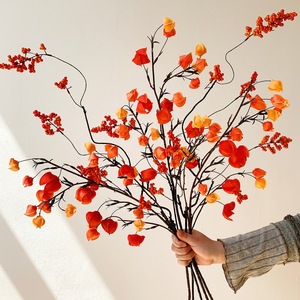Fleurs artificielles de Physalis Qingyu Chronicle pour la décoration intérieure, les mariages, les fêtes et la mise en scène sur le bureau - Product Image 1
