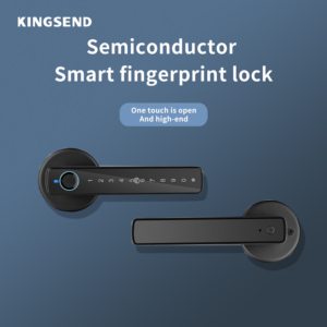 Biometric Fingerprint Password Smart Handle <strong>Door</strong> Lock with App &amp; Cloud Storage for Home Bedroom Use - Product Image 5