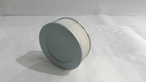 ใหม่ล่าสุดเครื่องอัดอากาศแมนนี่ชิ้นส่วนอุตสาหกรรม23698749แก้วไฟเบอร์และกระดาษกรองรับประกัน6เดือน - Product Image 3