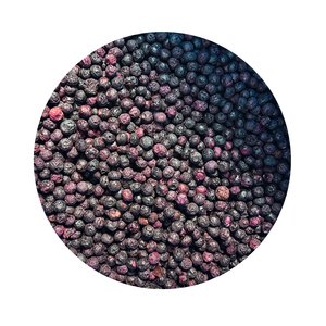 Polvo de Arándanos Liofilizado a Granel, Fruta Deshidratada para Hornear, Bebidas y Postres - Product Image 2