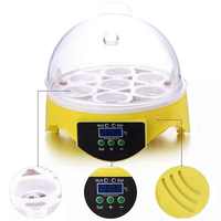 Incubateur miniature de qualité pour 7 œufs de poulet, de canard, d'oiseau, de pigeon - Contrôle numérique de la température, accessoire de nettoyage de cuisine