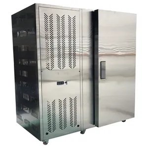 Commercial Shock Deep Quick Blast Freezer For Fish Beef Chicken