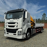Grue sur camion articulée hydraulique GIGA 25 tonnes LHD RHD, avec stabilisateurs télécommandés