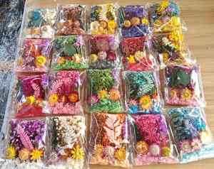 Mélange de Fleurs Séchées et Stabilisées en Gros, en Boîte ou en Sachet pour Bougies et Petits Matériaux de Résine DIY - Product Image 5