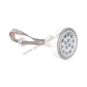 DC 24V Adresseerbaar 45Mm Amusement Cabochon Pixel Met 14Leds 3535Leds Ip66 Veranderlijke Kleurpuntlichten Voor Reuzenrad