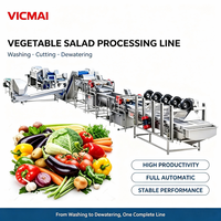 Industriële hoogproductieve volautomatische productielijn voor het wassen, snijden en ontwateren van groentesalades