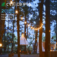 Guirlande lumineuse LED S14 extérieure économique, résistante au gel IP65, installation facile pour jardin, pergola, fête, accent décoratif
