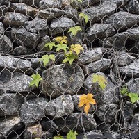 Cage de gabion hexagonale en Galfan 80x100mm 2.7mm ASTM pour la défense des berges fluviales