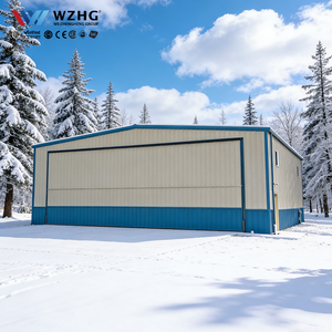 Hangar para Aviones de Acero Estructural, Proyecto de Construcción de Nuevo Diseño - Product Image 1