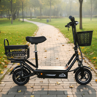Trottinettes électriques en stock d'usine, vélos électriques puissants pour adultes, vélos de ville électriques, vélos électriques 10 pouces pour adultes, trottinettes électriques