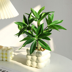 <span class=keywords><strong>ต้น</strong></span>ไม้ประดิษฐ์ในกระถางเซรามิกสำหรับตกแต่งบ้าน สำนักงาน ชั้นวางของ และโต๊ะ - Product Image 1