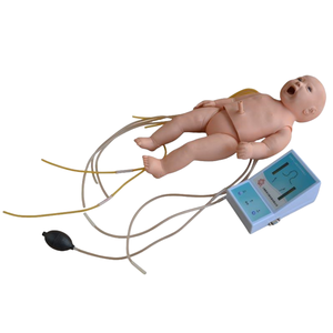Modelo Anatómico de Enfermería para RCP Infantil Avanzada ADA Medical Teaching, Modelo de Cuidado de Traqueostomía ADA-409D/ADA-423 para Estudiantes - Product Image 2
