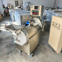Professionele dubbele kop fruit- en groenteblokjes snijmachine, -schaafmachine, -dicer en -slicer voor kokosnoot, ui, aardappelchips, in de aanbieding