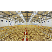 Ferme avicole préfabriquée hangar bâtiment structure en acier poulailler à vendre