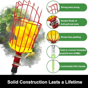 ที่เก็บผลไม้แบบมีด้ามจับยาวปรับได้พร้อมตะกร้า เครื่องมือเก็บผลไม้แบบมืออาชีพสำหรับแอปเปิ้ล มะม่วง ลูกแพร์ อะโวคาโด - Product Image 5