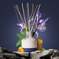 Mescente Vente en gros Bâtonnets de rotin de luxe personnalisés Ensembles de diffuseur de roseaux de parfum avec boîtes d'emballage