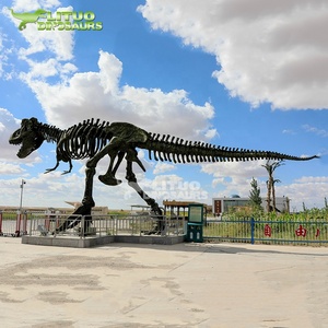 Realismo interior del fósil del esqueleto <span class=keywords><strong>T</strong></span>-<span class=keywords><strong>Rex</strong></span> animatronic alto realista <span class=keywords><strong>de</strong></span> tamaño real para los aeropuertos <span class=keywords><strong>de</strong></span> los centros comerciales - Product Image 4