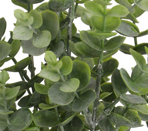 Semen jenis rumput tanaman pot plastik daun uang 30cm H dengan daun uang untuk DALAM ATAU luar ruangan - Product Image 4