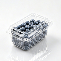 Conteneur alimentaire empilable en gros, boîte en plastique PET jetable pour tomates, cerises, fraises et fruits avec trou
