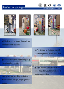 Generador de Vapor a Gas CE ISO EAC de 1000kg/h, 1500kg/h, 2000kg/h para Suministro de Vapor Industrial, de Alta Eficiencia, Automático, Alimentado con Paja - Product Image 4
