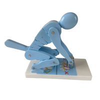 Modelo de Demostración de Estrés en la Columna Lumbar de Alta Calidad para Levantamiento de Pesas, Multicolor y Personalizable