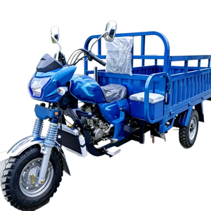 Triciclo de Carga a Gasolina de 201-250cc, Motocicleta de Tres Ruedas para Transporte de Mercancías - Product Image 2