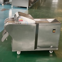 DY Multifunctionele Groente- en Fruit Snijmachine SUS304 RVS Commerciële 400-1000KG/H Groenteverwerkingsinstallatie