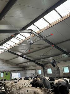 Ventilador de Techo VFans con Motor PMSM Interno, Altamente Seguro y de Fácil Instalación, para Circulación de Aire y Refrigeración en Granjas Avícolas y Establos - Product Image 6