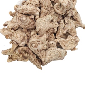 100% nổi tiếng thảo mộc bai Ji khô tự nhiên toàn bộ phổ biến bletilla giả bóng đèn từ Trung Quốc - Product Image 1