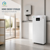 Système de stockage d'énergie domestique mural à batterie solaire LiFePO4 48V 280Ah 15kWh avec BMS pour alimentation de secours hors réseau 51.2V