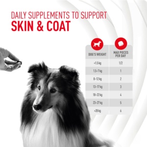 Compléments alimentaires pour animaux de compagnie en marque blanche OEM/ODM, compléments alimentaires personnalisés en marque blanche pour la santé de la peau et du pelage, friandises molles pour la santé des chiens et compléments alimentaires - Product Image 6