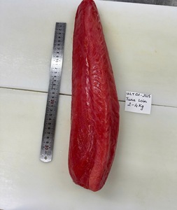 Filetto di <span class=keywords><strong>Tonno</strong></span> Congelato di Ottima Qualità al Miglior Prezzo - Product Image 1