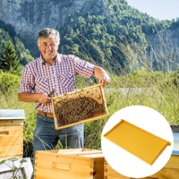 10 pièces de cadres et fondations de ruche jaunes, cadres/fondations d'abeilles tout-en-un pour boîte de ruche profonde Langstroth