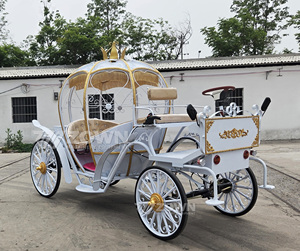 Hot Sale Electric Cinderella Pumpkin Carriage Durable Structure for Theme Park Tour Transport - Product Image 4
