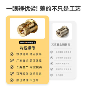 Tuerca de Cobre Prensada en Frío Tengdfei TF1600, Ranurada, Cabeza Redonda, Alta Resistencia, para Muebles de Plástico - Product Image 1