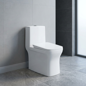 WC monobloc en céramique à poser au sol avec réservoir intégré, blanc, forme carrée ou ronde - Product Image 3