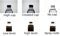 Inspection visuelle des bouteilles en verre pour les défauts de ligne de remplissage/niveau de liquide/intégrité de l'étanchéité/defauts du contenant/objets étrangers