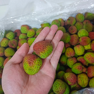 Lychees frais chinois super doux High Brix Lichee Litchi Lichi Fruits frais (Fi <span class=keywords><strong>Tsz</strong></span> Siu) - Product Image 3