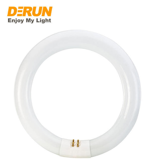 CRI80 High Bright Circular Fluorescent Lamp 220V 22W 32W 40W 55W T5 T9 Ring Light Bulb 6500K Daylight White for Ceiling Lighting