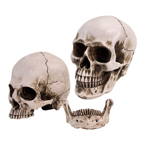 Pintura de bodegón con calavera de resina, arte de calavera humana, anatomía del músculo y esqueleto humanos, modelo de calavera, arte - Product Image 1