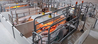 Système de décrochage d'équipement de ferme porcine de style européen