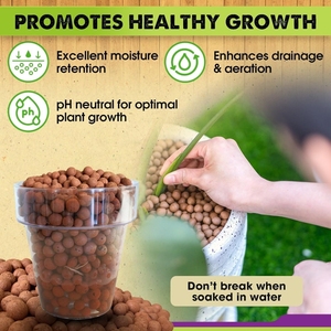 Organic Expanded <b>Clay</b> Pebbles 8mm Lightweight for Soil Drainage Orchids Indoor Plants Succulents - Product Image 6