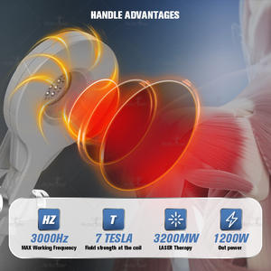 Machine de thérapie par Nirs à champ électromagnétique Pmst <span class=keywords><strong>prix</strong></span> d'impulsion de transduction magnétique extracorporelle pour cheval - Product Image 3