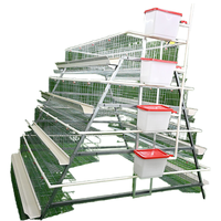 Cage à batterie galvanisée pour poules pondeuses de type A pour élevage avicole, vente de cages pour poules pondeuses