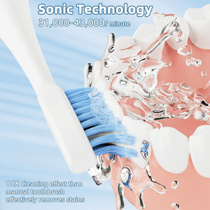 <span class=keywords><strong>Cepillo</strong></span> de <span class=keywords><strong>Dientes</strong></span> Eléctrico Sónico Inteligente Recargable de Marca Privada, <span class=keywords><strong>Cepillo</strong></span> de <span class=keywords><strong>Dientes</strong></span> Eléctrico Blanqueador - Product Image 5