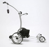 Chariot de golf électrique à moteur linix, en aluminium, réglage à distance, buggy, golf, expédition depuis l'allemagne