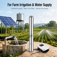 Solar-Brunnenpumpe DC Tauchmotor Bürstenlos 3 Zoll Edelstahl Tiefbrunnensystem für Landwirtschaft und Bewässerung
