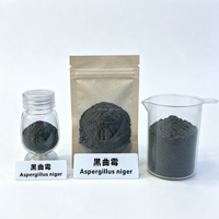 Poudre Fongique Thermo-Stable Résistante aux Granulés Aspergillus Niger 5 Milliards UFC/g Additif Alimentaire pour l'Alimentation des Volailles et du Bétail en Granulés à Haute Température