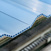 Service OEM – Panneau PVC alvéolaire double paroi anti-âge, étanche, insonorisé, léger et résistant aux acides pour bâtiments industriels