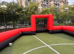 Campo de fútbol inflable para exteriores de 40 pies x 20 pies, <span class=keywords><strong>cancha</strong></span> inflable de fútbol y campo de fútbol para juegos escolares/familiares/de equipo - Product Image 5